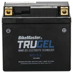 Bikemaster Trugel Battery Model MG7Z-S 780542. Fixed Price $47.48.