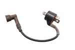 87 Polaris Trail Boss 250 4X4 Ignition Coil. Fixed Price $14.72.