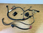 2001-2005 Honda TRX250EX Wire Harness Wiring Cdi Rectifier Coil 32100-HN6-000. Fixed Price $119.99.