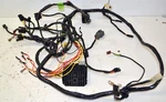 Arctic Bearcat 454 4X4 Electrical Wiring Wire Harness Loom 0486-001 1996-97. Fixed Price $149.95.