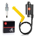 Ignition Coil & Spark Plug Wire Cap For Honda Rincon TRX680FA Fga 2006-2014. Fixed Price $20.99.