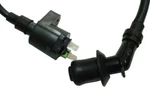 Eton E-ton Ignition Coil For All Viper 50CC 70CC 90CC 2-STROKE Atv's. Fixed Price $17.99.