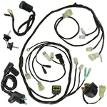 Wirie Harness Relay Ignition Coil Switch Kit For Honda Recon TRX250TM 07-21. Fixed Price $87.00.