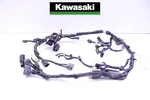 #807 Main Electrical Wire Harness *damaged* Kawasaki 2020-2022. Fixed Price $127.49.