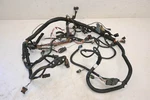 06 Polaris Sportsman 500 X2 4X4 Wire Harness Electrical Wiring For Parts. Fixed Price $124.99.
