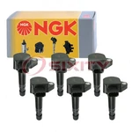 Ngk 49176 U5051-6 Ignition Coil For UF400T UF242T IGC0055 IC520 Tn. Fixed Price $217.18.