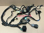 08-09 Honda 700XX Oem Wire Harness Electrical Main 32100-HP6-A00 Fast Ship. Fixed Price $269.99.