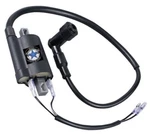 2012-2025 Kawasaki Brute Force 300 Ignition Coil Assembly 21171-Y001. Fixed Price $25.99.