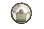 Polaris Ranger 500 12 Speedometer Gauges 2411606 54151. Fixed Price $179.99.