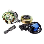 Rmstator 100W Kit With External Ignition Coil, Flywheel And Puller. Fixed Price $252.96.