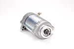 Ricks Electric Starter Motor 61-202. Fixed Price $149.95.