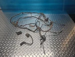 Oem 96-98 Arctic Bearcat 4X4 454 Wiring Harness 0486-007 52288. Fixed Price $145.00.