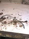 Honda TRX350 Es Rancher 4X4 Atv Thermo Sensor Sub Wire N2726 2005. Fixed Price $9.95.