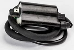 Ricks Ignition Coil 23-106. Fixed Price $61.95.