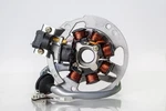 Ricks -quality Stator Part Fits 21-550 For Motor Repair. Fixed Price $118.95.