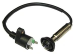 Outside Distributing 08-0313 Ignition Coil GY6 250CC Scooter. Fixed Price $36.16.