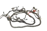 Arctic Cat Prowler 700 Xt 16 Wiring Harness Chassis 0486-517 53462. Fixed Price $379.99.