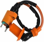 Racing Ignition Coil GY6 50CC-250CC Fits Taotao Buyang Roketa Bmx Kazuma Sunl. Fixed Price $15.50.