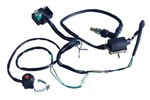 Ignition Coil Cdi Spark Plug Kill Switch 50-160CC Ssr Ycf Pit Dirt Bike Atv Quad. Fixed Price $25.99.
