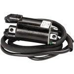 Ricks Motorsport Electric 23-105 Ignition Coil. Fixed Price $69.95.