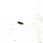 00-02 Arctic Cat 500 4X4 Automatic Oem Carb Plunger 5507-022 AA32. Fixed Price $19.99.