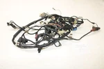 2003 Kawasaki Prairie 650 4X4 Main Engine Wiring Harness Motor Wire Loom. Fixed Price $59.95.