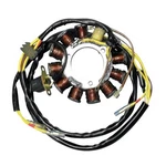Ricks Electric Stator Polaris 500 Big Boss Magnum Scrambler Sportsman. Fixed Price $239.95.