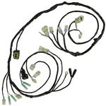 Caltric Wiring Harness For Honda Recon TRX250TM 2005-2006 New. Fixed Price $64.00.