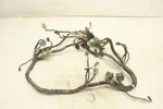 Honda Foreman 500 Fpm 08 Wiring Harness Chassis 32100-HP0-E20 51168. Fixed Price $76.99.