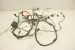 Arctic Cat Prowler Xt 650 08 Wiring Harness 0486-252 21823. Fixed Price $209.99.