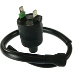 Ignition Coil For Honda XR200 1984 ATC200S 1985-1986 30510-KJ2-405; 160-01020. Fixed Price $27.37.