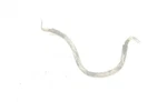Honda Rancher 420 Fa 15 Cable Frame Ground Negative 32603-HR6-A60 52552. Fixed Price $9.45.
