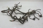 Can-am Outlander 400 Max Xt 06 Wiring Harness Chassis 710000857 53200. Fixed Price $169.99.