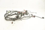 Arctic Cat Prowler 550 Xt 10 Wiring Harness Chassis 0486-296 50339. Fixed Price $389.99.