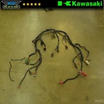 2006 Kawasaki KFX700 Wire Harness Wiring Loom Lead Cord Plug Oem 05-08. Fixed Price $125.00.
