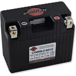 Shorai Xtreme-rate 12-VOLT LIFEPO4 Lithium Battery LFX09L2-BS12. Fixed Price $113.36.