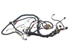 03 Can-am Rally 175 200 2X4 Wire Harness Electrical Wiring Bombardier. Fixed Price $99.90.