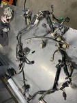 Suzuki King Quad 750 Wiring Harness. Fixed Price $249.00.