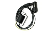 Ignition Coil For Honda 12V Elsinore Qa Z Mr Mt 125 175 250 (fits:. Fixed Price $29.95.