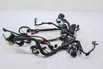 22 Honda CB300R Abs Main Wire Harness Electrical Wiring. Fixed Price $399.99.