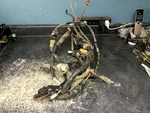 04-05 Suzuki Wiring Harness Assembly # 36610-03G51 Vinson LT-A500F. Fixed Price $135.95.