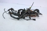 2009 Arctic Cat 550 4X4 Trv Automatic Oem Mainharness Motor 0486-283. Fixed Price $170.00.
