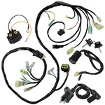 Wiring Harness Relay Ignirion Coil Switch For Honda Sportrax TRX250EX 06-07. Fixed Price $90.00.