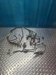 Oem 03-13 Kawasaki Prairie 360 Wiring Harness 26031-0526 54397 Off 2008. Fixed Price $150.00.