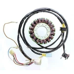 Electrosport Stator Polaris 500 H.o./sportsman 6X6/SPORTSMAN 450. Fixed Price $146.37.