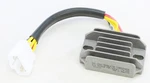 Ricks Electric Regulator / Rectifier 10-241. Fixed Price $144.95.