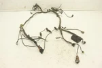 Arctic Cat 550 12 Wiring Harness 0486-337 39613. Fixed Price $224.99.