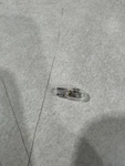 Bulb,warn,(agr.) --- Polaris. Fixed Price $5.99.