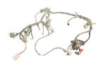 Honda Rubicon 500 Fpa 13 Wiring Harness 32100-HN2-B71 54335. Fixed Price $279.99.