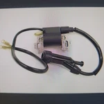Racing Go Kart Briggs Raptor New Style Oem Ignition Coil Spark Plug Engine. Fixed Price $49.99.